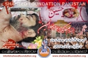 Shaheed Syed Ahmed Ali Zaidi Shaheed Syed Ahmed Ali Zaidi