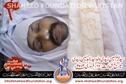 Shaheed Syed Khurram Hussain Zaidi Shaheed Syed Khurram Hussain Zaidi
