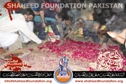 Shaheed Allama Prof. Taqi Hadi Shaheed Allama Prof. Taqi Hadi