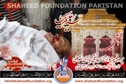 Shaheed Allama Prof. Taqi Hadi Shaheed Allama Prof. Taqi Hadi