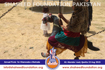 Picnic/ Get together for Martyr’s Family Alamdar road Quetta Picnic/ Get together for Martyr’s Family Alamdar road Quetta