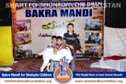 SFP Bakra Mandi Karachi 2014 SFP Bakra Mandi Karachi 2014