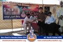SFP Bakra Mandi Kohat 2014 SFP Bakra Mandi Kohat 2014
