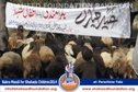 SFP Bakra Mandi Parachinar 2014 SFP Bakra Mandi Parachinar 2014