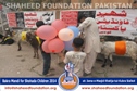 SFP Bakra Mandi Sialkot 2014 SFP Bakra Mandi Sialkot 2014