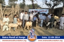 SFP Bakra Mandi Hangu 2014 SFP Bakra Mandi Hangu 2014