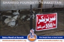 SFP Ijtaimai Qurbani / Bakra Mandi 2014 SFP Ijtaimai Qurbani / Bakra Mandi 2014