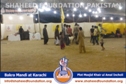 SFP Ijtaimai Qurbani / Bakra Mandi 2014 SFP Ijtaimai Qurbani / Bakra Mandi 2014