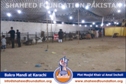 SFP Ijtaimai Qurbani / Bakra Mandi 2014 SFP Ijtaimai Qurbani / Bakra Mandi 2014
