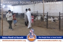 SFP Ijtaimai Qurbani / Bakra Mandi 2014 SFP Ijtaimai Qurbani / Bakra Mandi 2014
