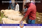 SFP Bakra Mandi Faisalabad 2015 SFP Bakra Mandi Faisalabad 2015