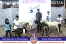 SFP Bakra Mandi Karachi 2015 SFP Bakra Mandi Karachi 2015