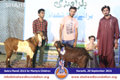 SFP Bakra Mandi Karachi 2015 SFP Bakra Mandi Karachi 2015