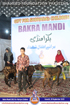 SFP Bakra Mandi Karachi 2015 SFP Bakra Mandi Karachi 2015