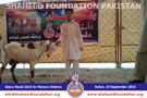 SFP Bakra Mandi Kohat 2015 SFP Bakra Mandi Kohat 2015