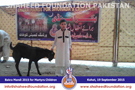 SFP Bakra Mandi Kohat 2015 SFP Bakra Mandi Kohat 2015