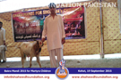 SFP Bakra Mandi Kohat 2015 SFP Bakra Mandi Kohat 2015