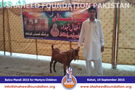 SFP Bakra Mandi Kohat 2015 SFP Bakra Mandi Kohat 2015