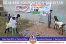 SFP Bakra Mandi Rawalpindi 2015 SFP Bakra Mandi Rawalpindi 2015
