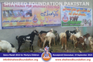 SFP Bakra Mandi Rawalpindi 2015 SFP Bakra Mandi Rawalpindi 2015